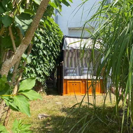 Ferienapartment Casa Heideblick Mit Sonnenterrasse & Garten Radeberg Buitenkant foto