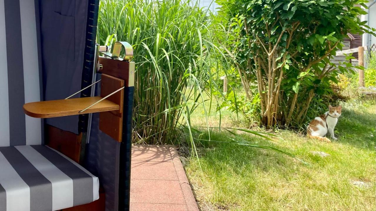 Ferienapartment Casa Heideblick Mit Sonnenterrasse & Garten Radeberg Buitenkant foto